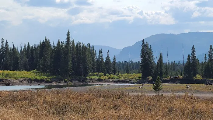 Yellowstone Meadows 6Y7 1