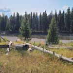 Yellowstone Meadows 6Y7