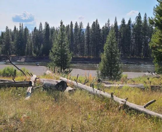 Yellowstone Meadows 6Y7