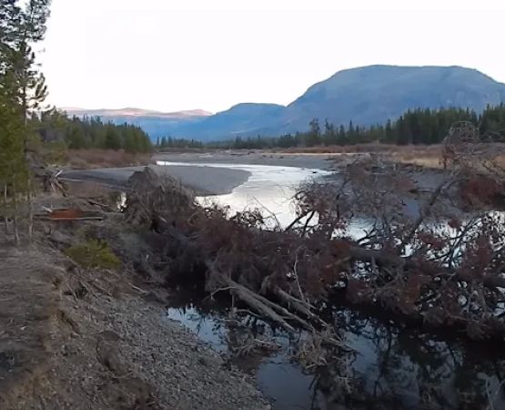 North Thorofare 6T2