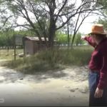 Westside Campground / Ocean Lake WHMA