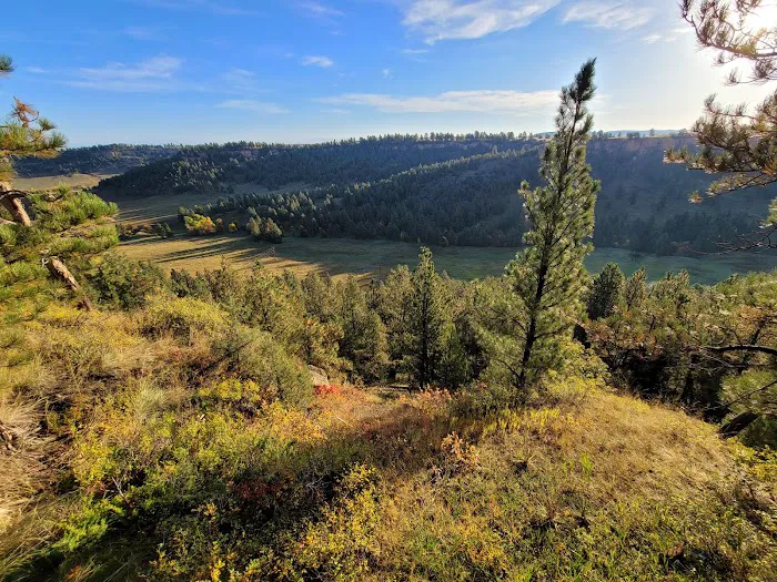 Devils Tower View Campground 1