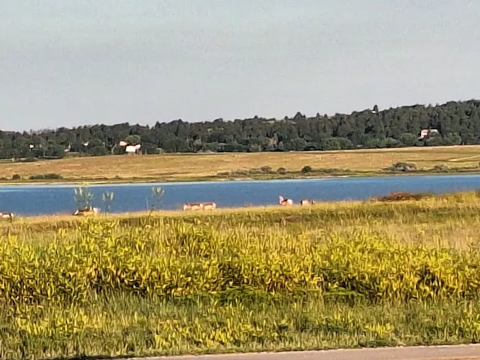 Tatanka Campground 3
