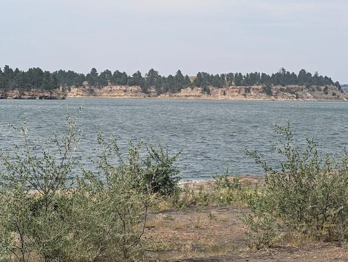 Coulter Bay Campground 1