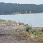 Coulter Bay Campground