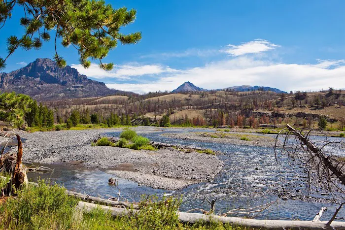 Double Cabin Campground 4