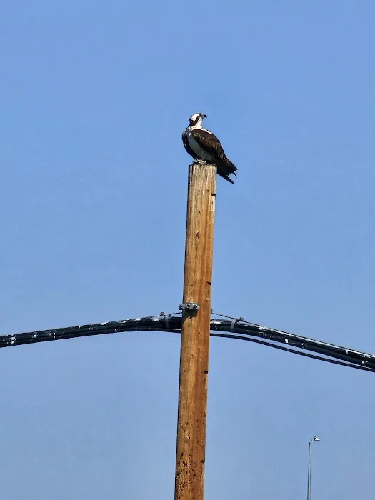 Riverside RV Park 0