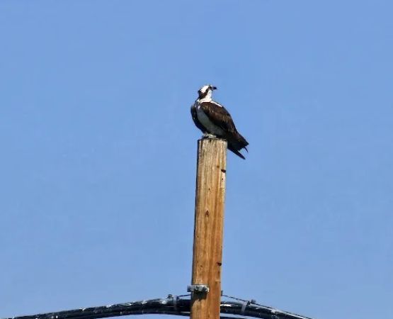 Riverside RV Park