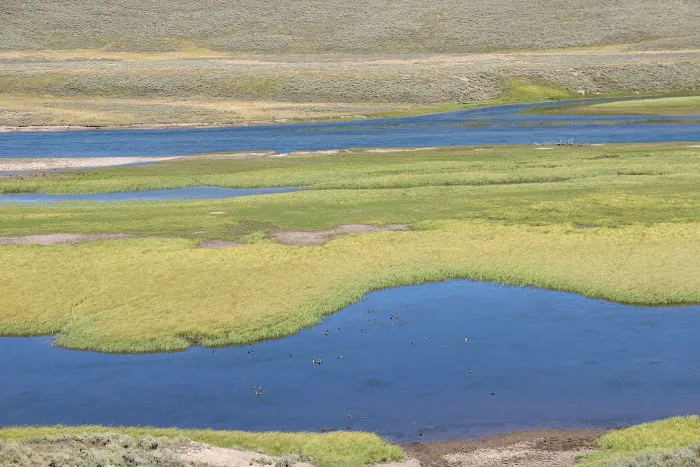 Snake River 7