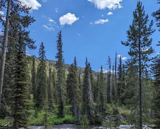Lower Ford