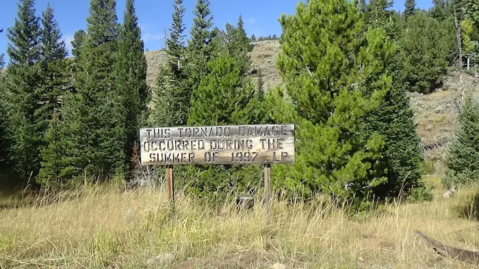 Campbell Creek Campground 8