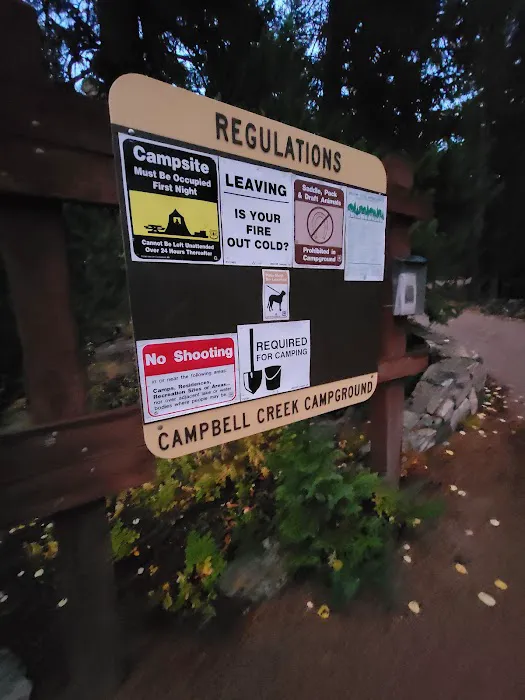 Campbell Creek Campground 6