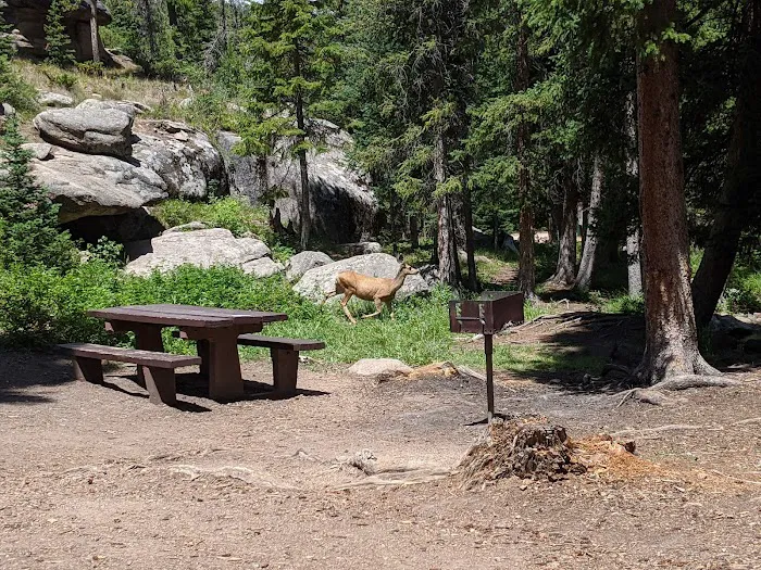 Campbell Creek Campground 5