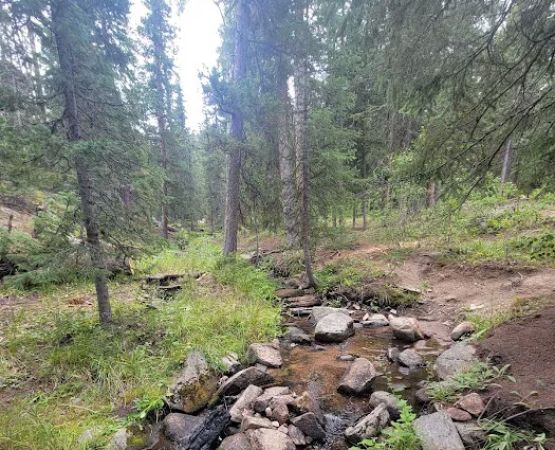 Campbell Creek Campground