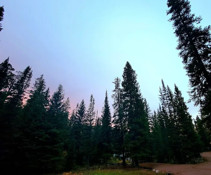 Campbell Creek Campground 3