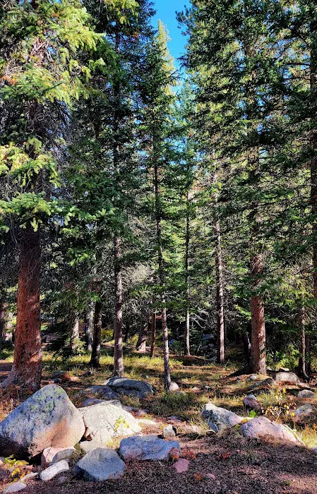 Campbell Creek Campground 9