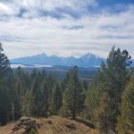 Two Ocean Trail Junction