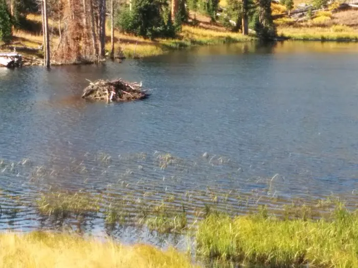 Monument Camp 0