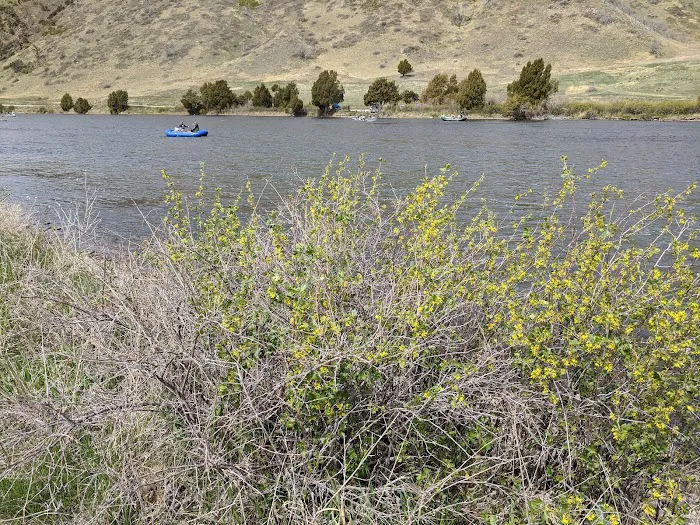 Red Mountain Campground 6
