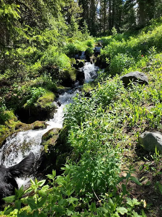 Branham Lakes Campground and Picnic Area 7