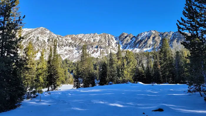 Branham Lakes Campground and Picnic Area 6