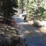 Pigeon Creek Campground