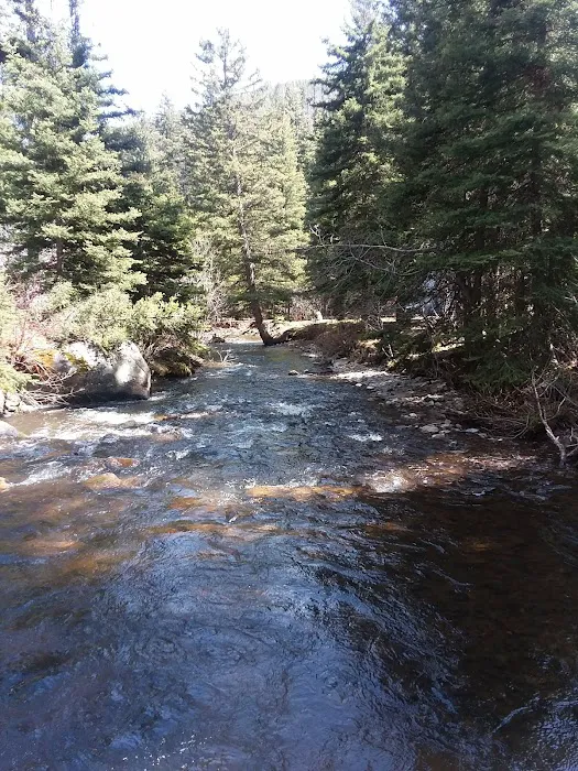 Pigeon Creek Campground 6