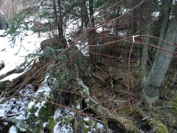 Pigeon Creek Campground 7