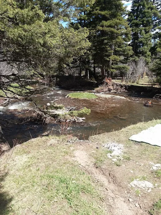 Pigeon Creek Campground 8