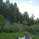 Toll Mountain Campground and Picnic Area