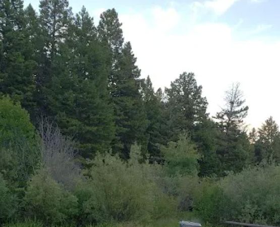 Toll Mountain Campground and Picnic Area