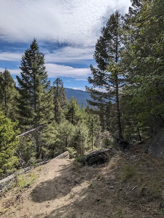Toll Mountain Campground and Picnic Area 1