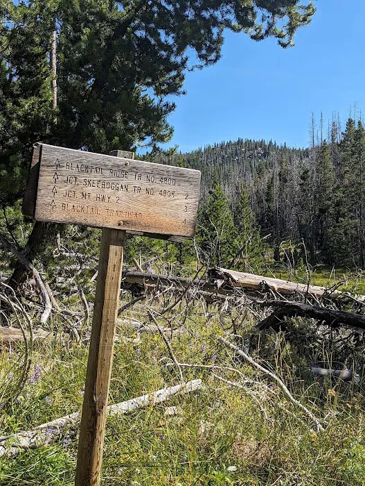 Toll Mountain Campground and Picnic Area 6