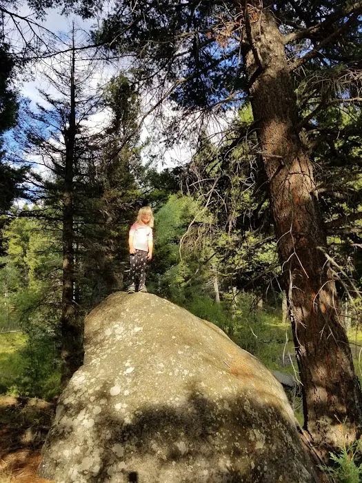 Toll Mountain Campground and Picnic Area 8