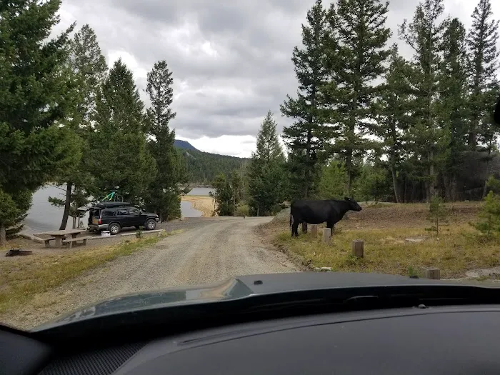 Delmoe Campground 6