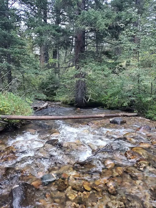 Spanish Creek Cabin 3
