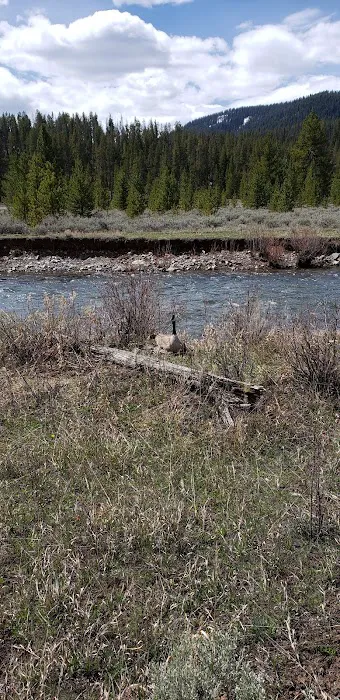 Taylor Fork Road 3