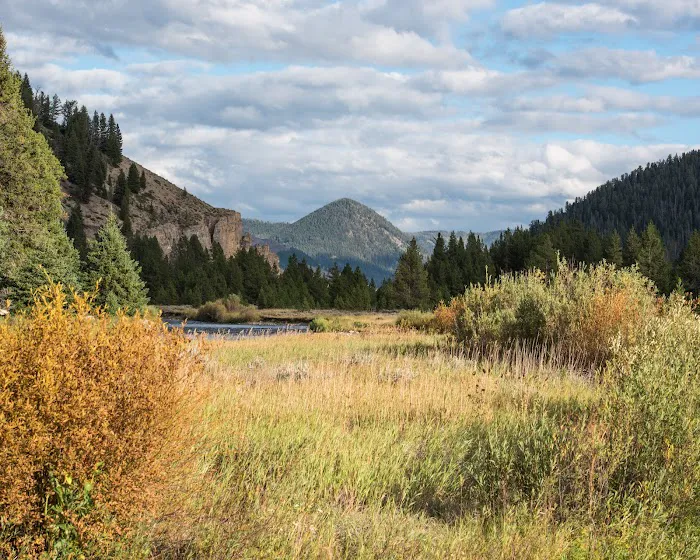 Taylor Fork Road 9