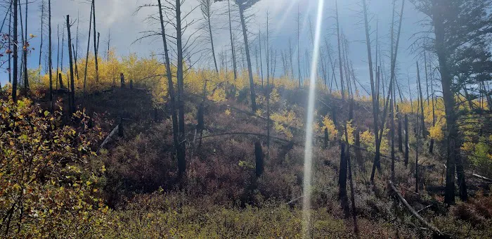 West Boulder Campground 8