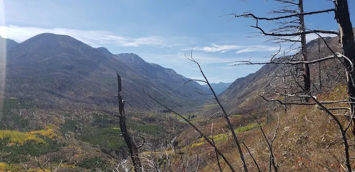 West Boulder Campground 9