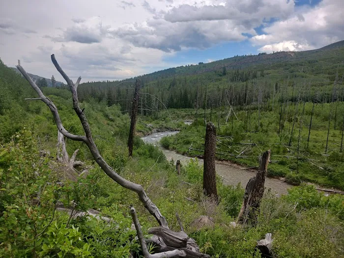 West Boulder Campground 6