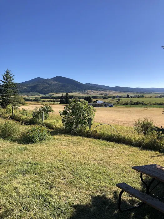 Bear Canyon Campground 8