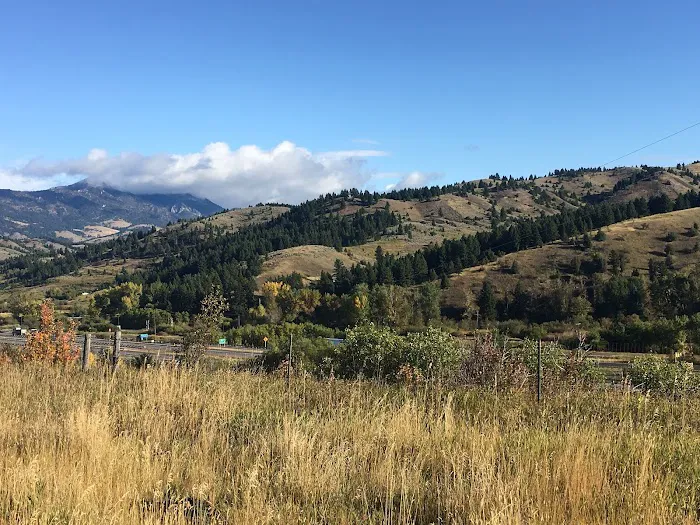 Bear Canyon Campground 9