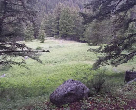 Hells Canyon Campground