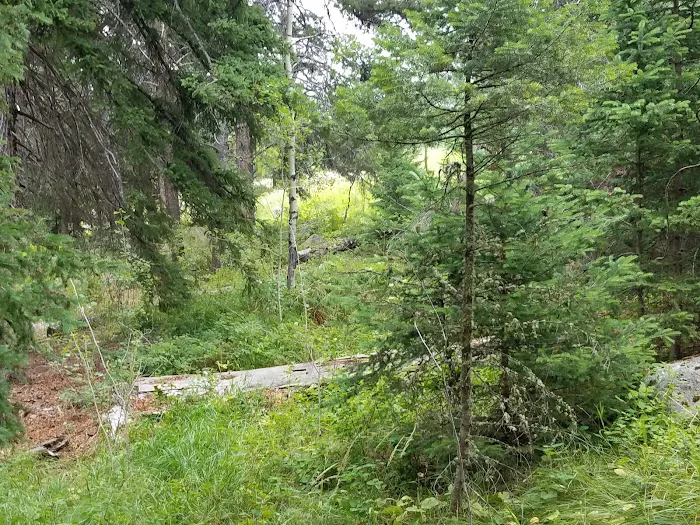 Hells Canyon Campground 7