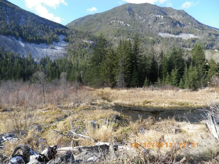 Big Beaver Campground 4