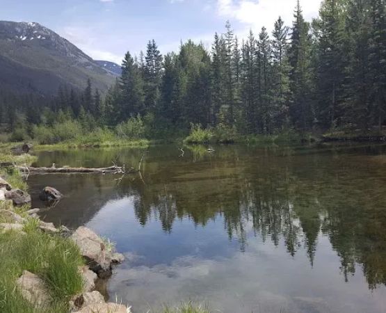 Big Beaver Campground