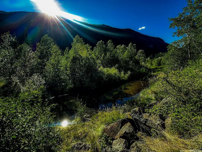Aspen Campground 8