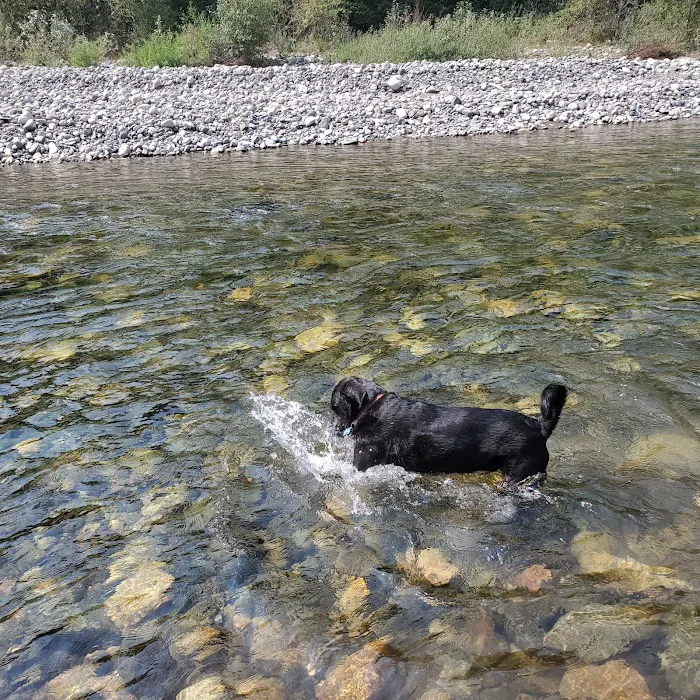Aspen Campground 9