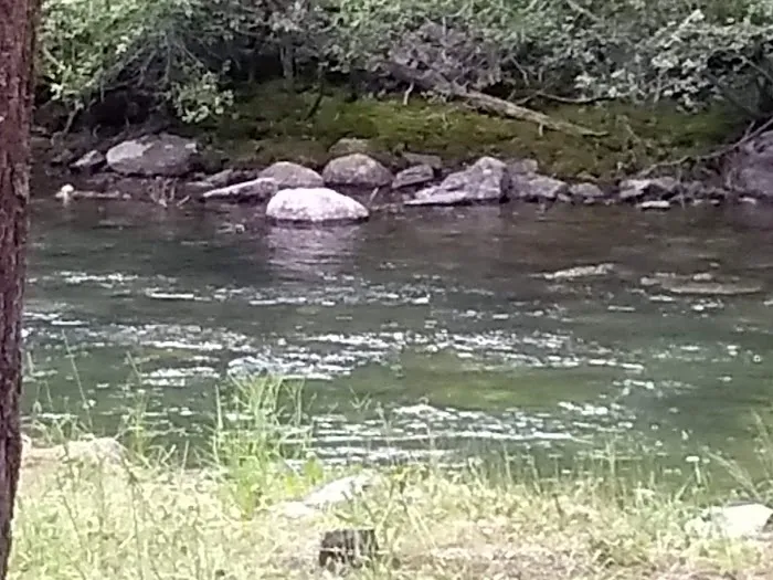 Shipping Corrals Picnic Area 2